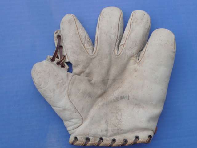 A.J. Reach Professional Grommet Web Front